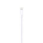 Apple Lightning to USB Cable (1 m)