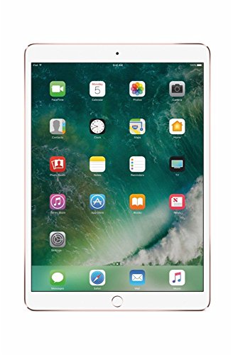 iPad Pro 10.5" - 256GB - Rose Gold-256GB -2.3-2017