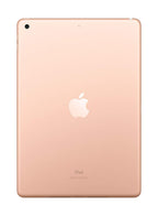 iPad Pro 10.5" - 256GB - Rose Gold-256GB -2.3-2017