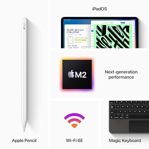 iPad Pro 11" (4th Gen) (2022) 256GB Space Gray Wifi + Cellular
