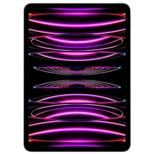 iPad Pro 11" (4th Gen) (2022) 256GB Space Gray Wifi + Cellular
