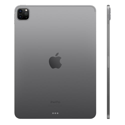iPad Pro 11" (4th Gen) (2022) 256GB Space Gray Wifi + Cellular