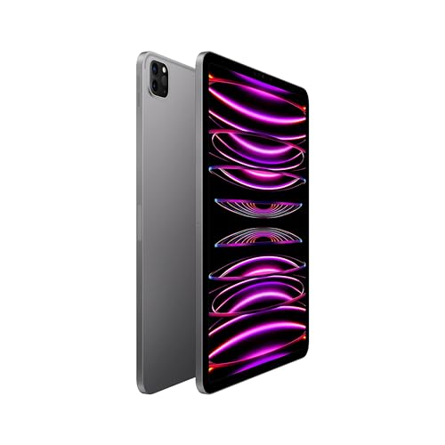 iPad Pro 11" (4th Gen) (2022) 256GB Space Gray Wifi
