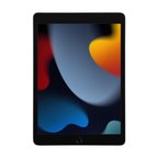 iPad 9 (2021) 256GB Space Gray Wifi