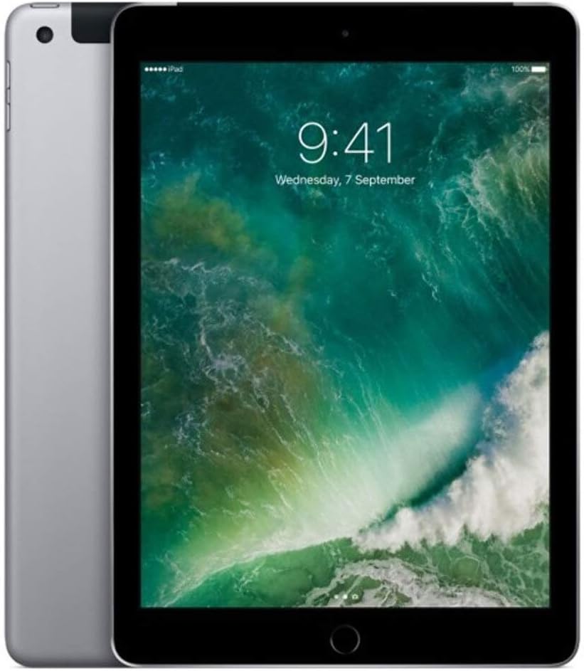iPad 5 (2017) 128GB Space Gray Wifi + Cellular