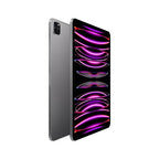 iPad Pro 11" (4th Gen) (2022) 256GB Space Gray Wifi