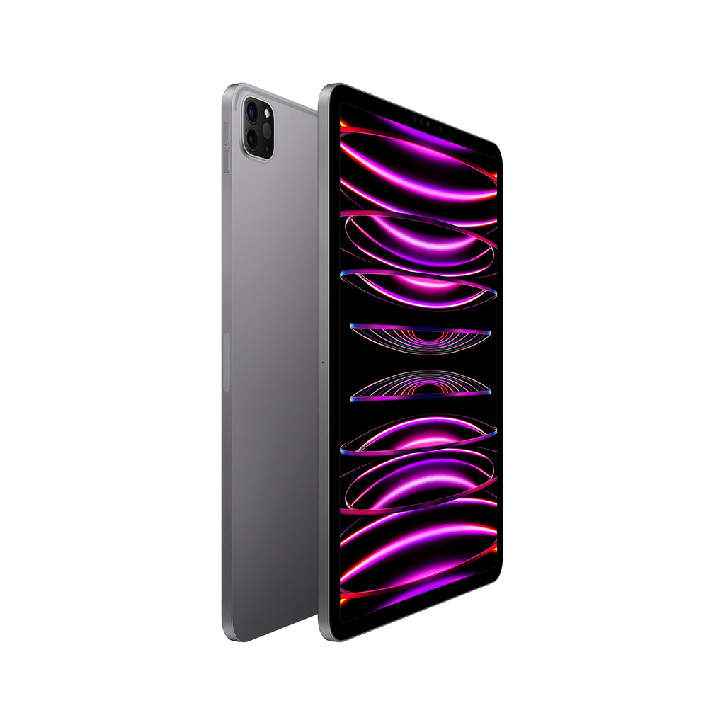 iPad Pro 11" (4th Gen) (2022) 2TB Space Gray Wifi + Cellular