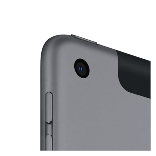 iPad 8 (2020) 32GB Space Gray Wifi + Cellular
