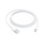 Apple Lightning to USB Cable (1 m)
