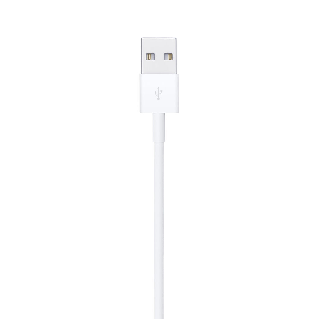 Apple Lightning to USB Cable (1 m)