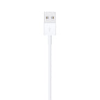Apple Lightning to USB Cable (1 m)