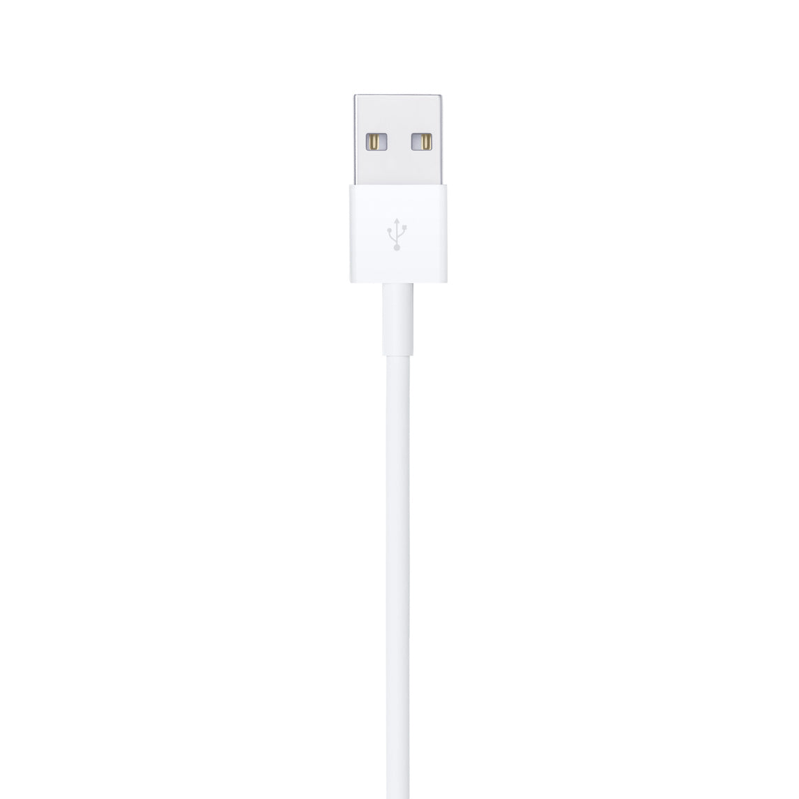 Apple Lightning to USB Cable (1 m)