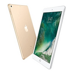 iPad 5 (2017) 32GB Gold Wifi
