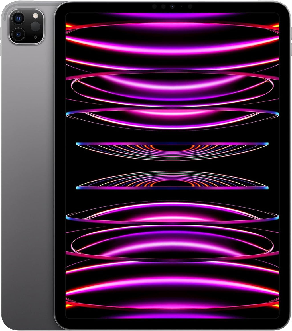 iPad Pro 11" (4th Gen) (2022) 2TB Space Gray Wifi + Cellular